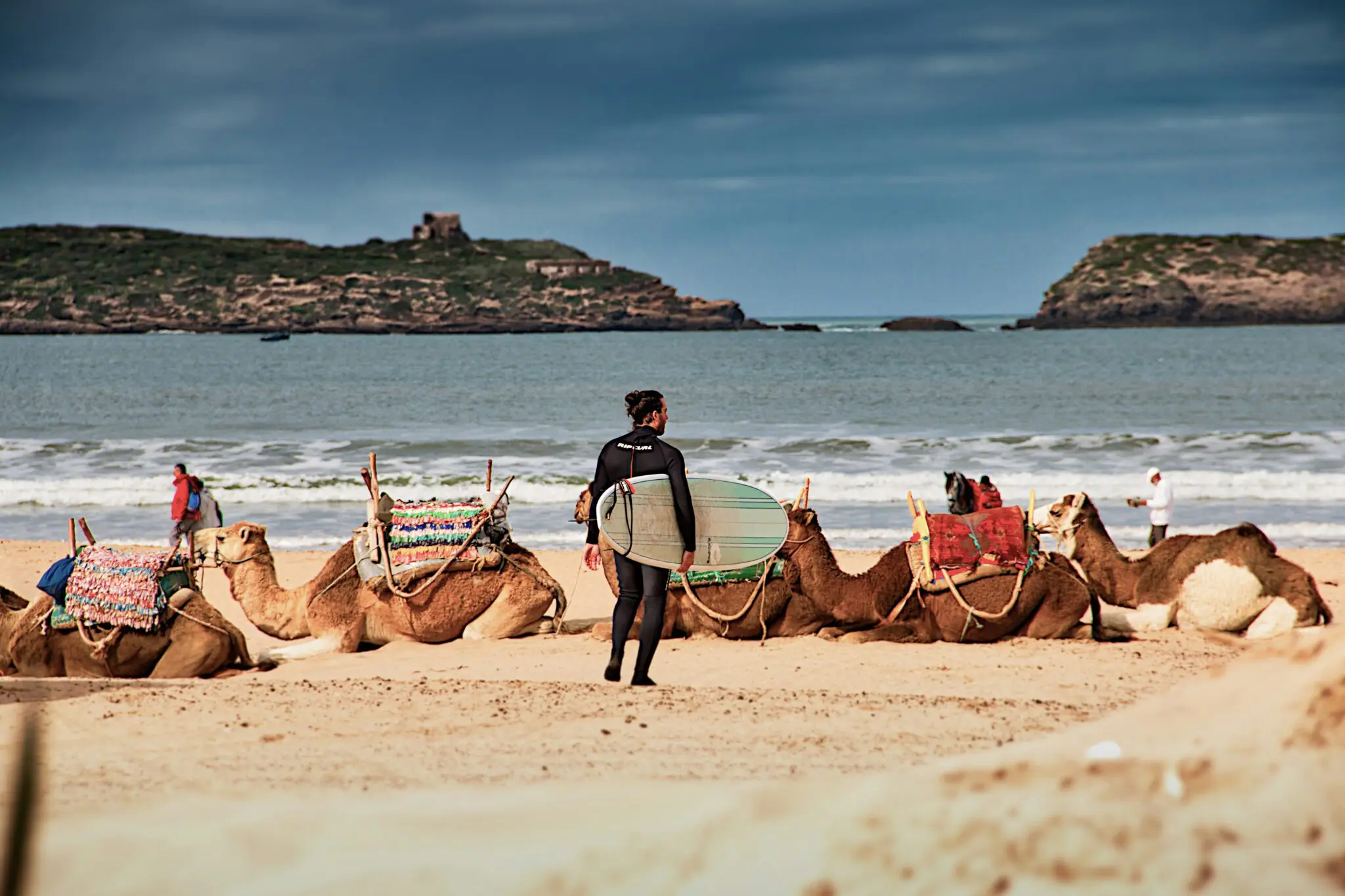 strand dromedaris Marokko landschap surf