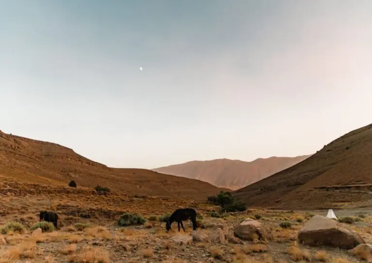 Landschaft des Anti-Atlas in Marokko