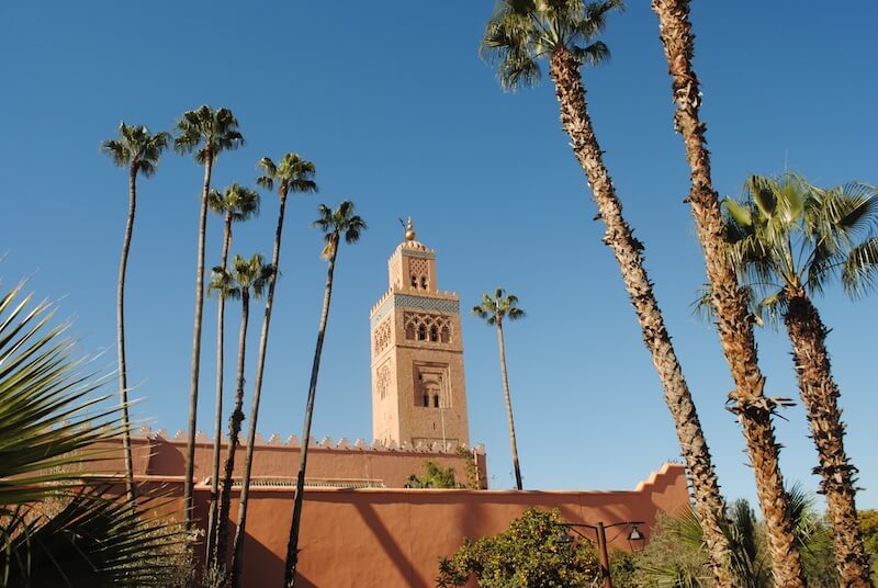 Paysage marrakesh palmier